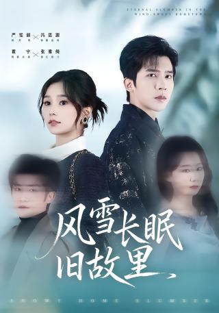 短剧风雪长眠旧故里海报