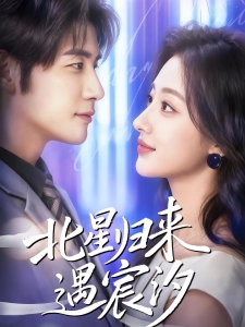 短剧北星归来遇宸汐海报
