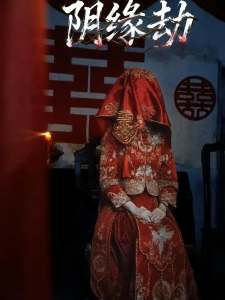 短剧阴缘劫海报