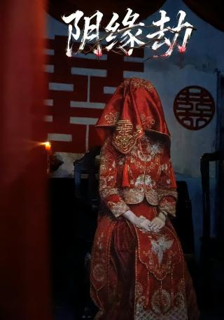 短剧阴缘劫海报