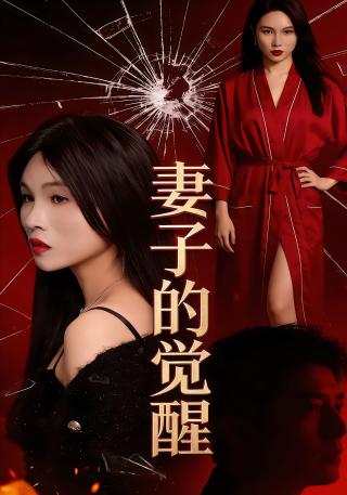 短剧妻子的觉醒海报