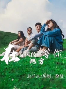 短剧在有风的地方等你海报