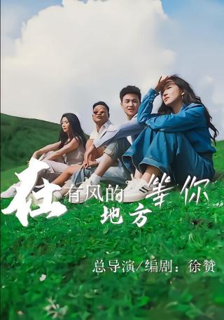 短剧在有风的地方等你海报