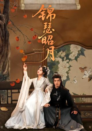 短剧锦瑟昭月海报