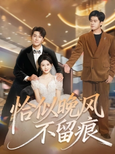 短剧恰似晚风不留痕海报