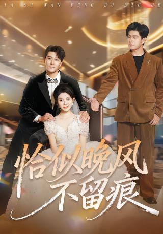 短剧恰似晚风不留痕海报