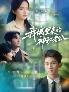 短剧我城里来的神秘老公海报