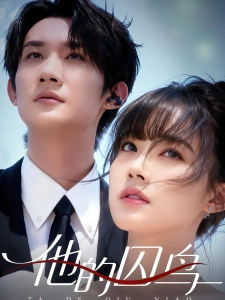 短剧他的囚鸟海报