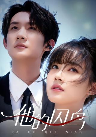 短剧他的囚鸟海报