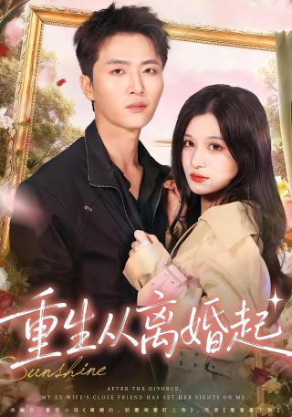 短剧重生从离婚起海报