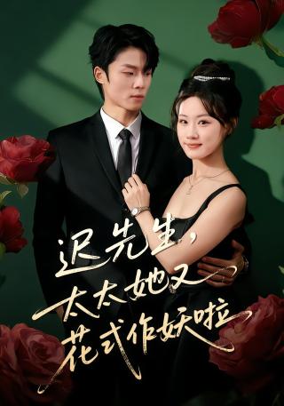 短剧迟先生，太太她又花式作妖啦海报