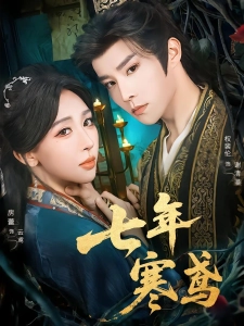 短剧七年寒鸢海报