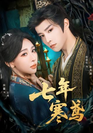 短剧七年寒鸢海报