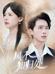 短剧风不知归处海报