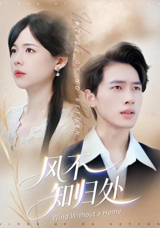 短剧风不知归处海报