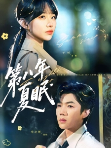 短剧第八年夏眠海报