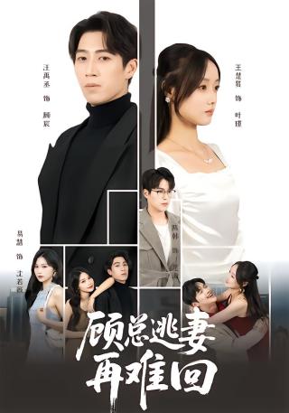 短剧顾总逃妻再难回海报