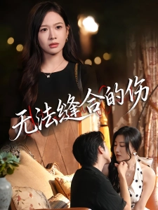 短剧无法缝合的伤海报