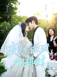 短剧夜晚微风吹拂时海报