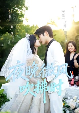 短剧夜晚微风吹拂时海报