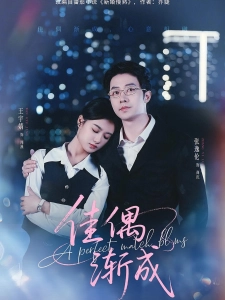 短剧佳偶渐成海报