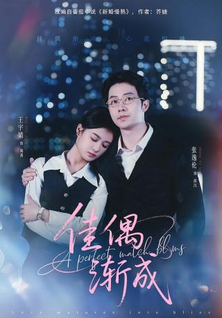 短剧佳偶渐成海报