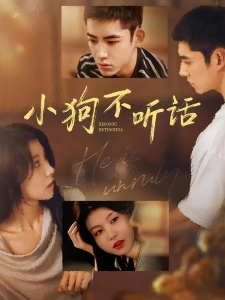 短剧小狗不听话海报