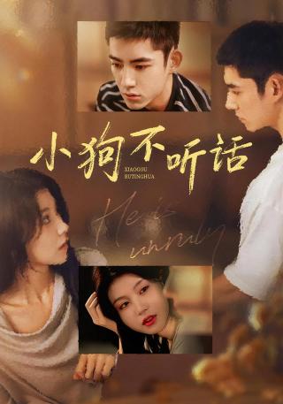 短剧小狗不听话海报