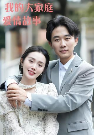 短剧我的大家庭爱情故事海报