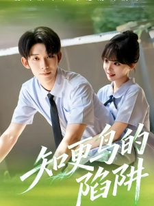 短剧知更鸟的陷阱海报
