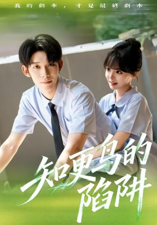 短剧知更鸟的陷阱海报