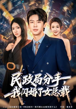 短剧民政局分手，我闪婚了女总裁海报