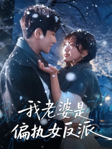 短剧我老婆是偏执女反派海报