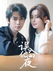 短剧误入他的夜海报