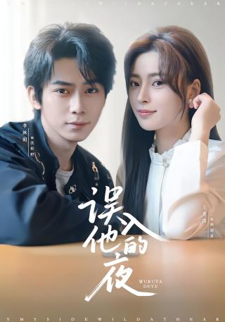 短剧误入他的夜海报