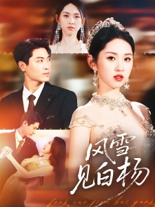 短剧风雪见白杨海报