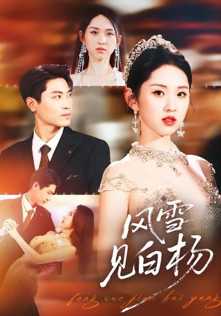 短剧风雪见白杨海报