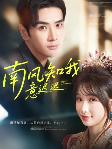 短剧南风知我意迟迟海报