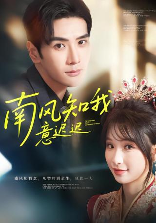 短剧南风知我意迟迟海报