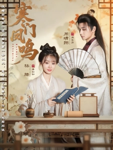 短剧寒门凤鸣海报