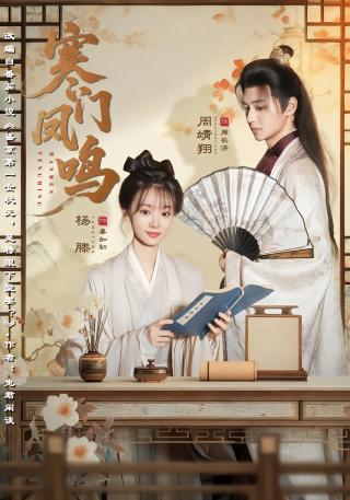 短剧寒门凤鸣海报