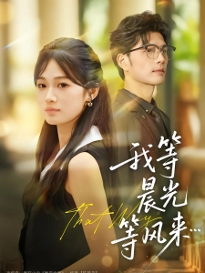 短剧我等晨光等风来海报
