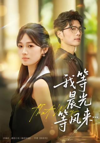 短剧我等晨光等风来海报