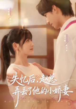 短剧失忆后，赵总弄丢了他的小娇妻海报