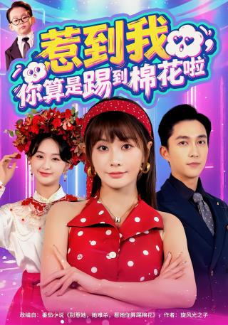 短剧惹到我，你算是踢到棉花啦海报