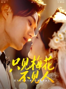 短剧只见梅花不见人海报