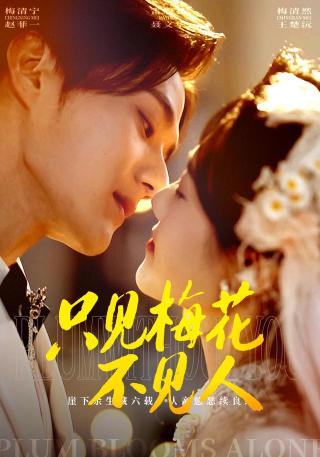 短剧只见梅花不见人海报