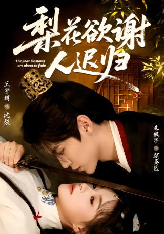 短剧梨花欲谢人迟归海报
