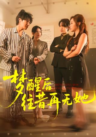 短剧梦醒后往昔再无她海报