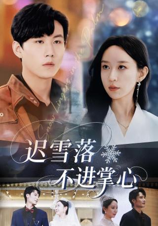 短剧迟雪落不进掌心海报